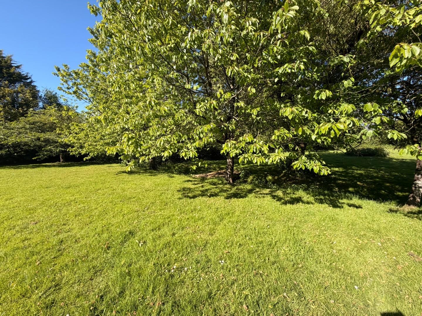 Approximately 0.934 acres of land to the rear of, The Court Corntown, Bridgend, Bridgend County Borough CF35 5BJ